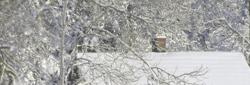 Snowy Rooftop In Colorado E1681443104613
