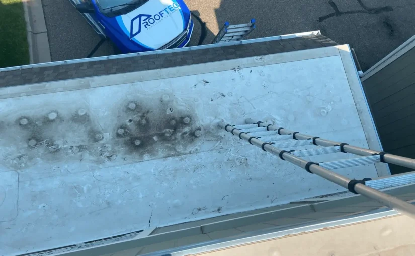 Ladder On Roof With Mold