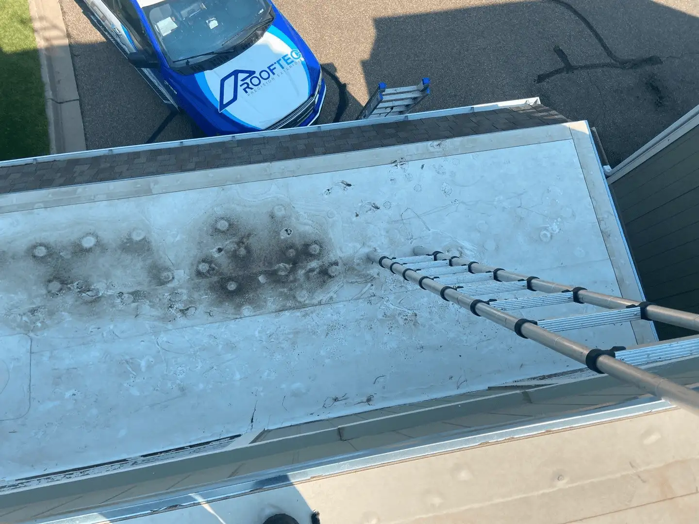 Ladder On Moldy Rooftop Image of a moldy rooftop with a ladder